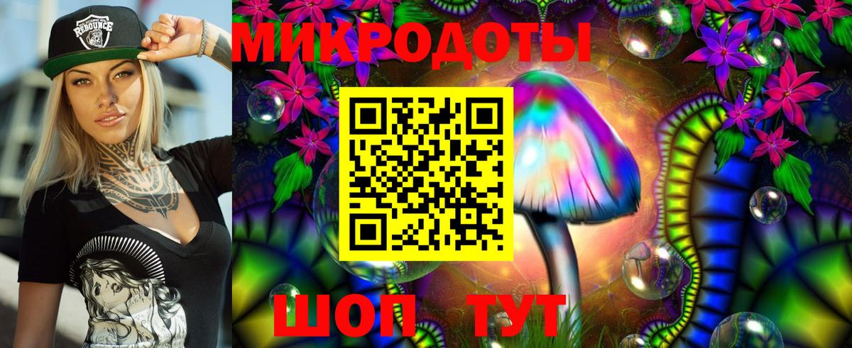 Псилоцибиновые грибы Psilocybe  Вход с VPN  Белореченск  Псилоцибиновые грибы прущие грибы 